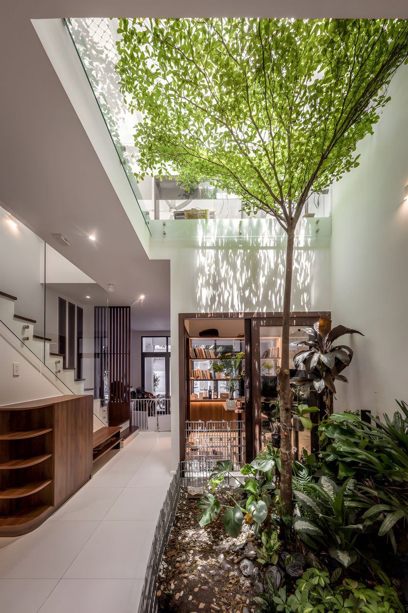 tiểu cảnh nhà phố tại hồ chí minh